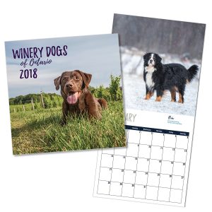Preview of the Winery Dogs of Ontario calendar