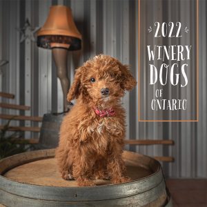 Winery Dogs of Ontario 2022 cover