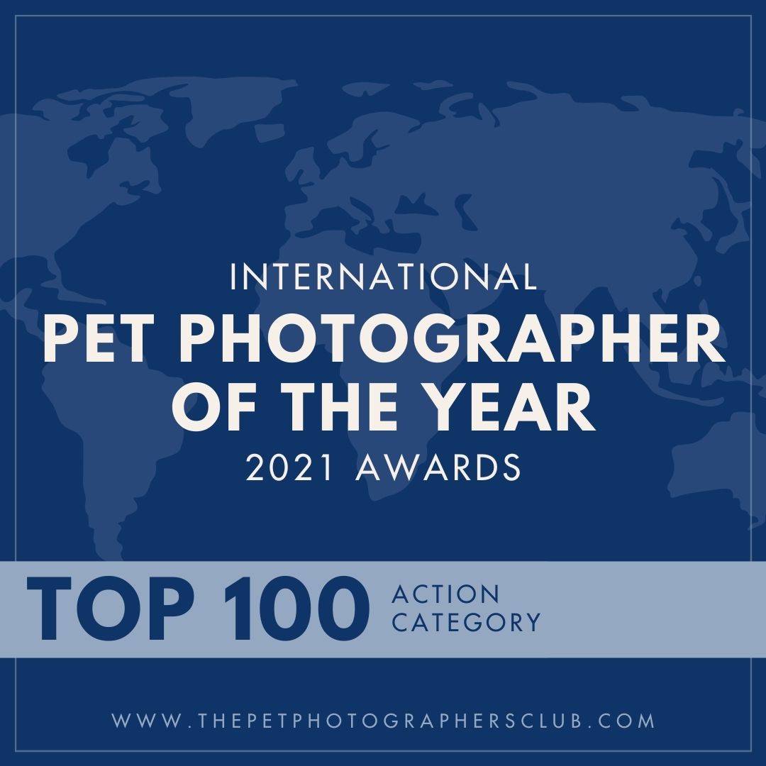 International Pet Photographer of the Year 2021 Top 100 badge